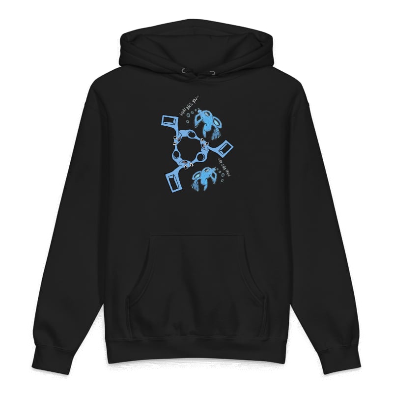 What Are You Hoodie